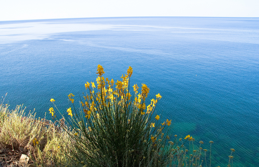 cinqterre-4239